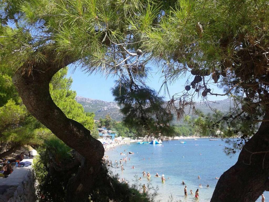 Apartments Mara Orebić Εξωτερικό φωτογραφία